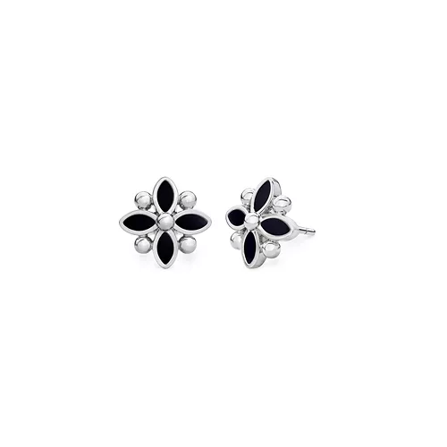 Oberig product: Сережки A1.204X.W
