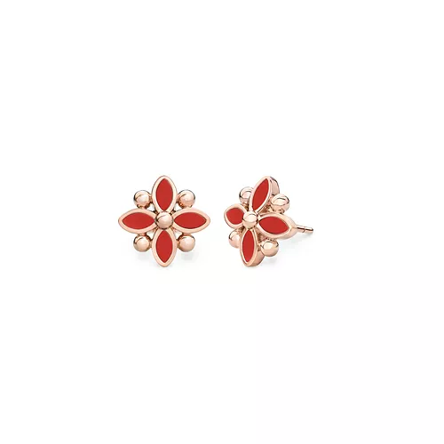 Oberig product: Сережки A1.204C.R