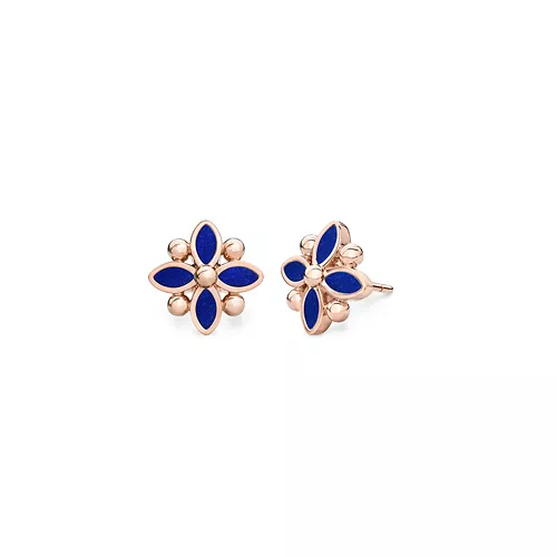 Oberig product: Сережки A1.204L.R